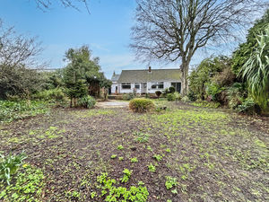 Garden- click for photo gallery